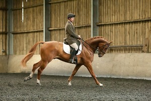 Isis Dressage Crown Farm Show 29th April 2012